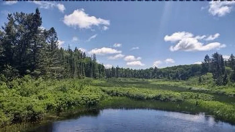 Magnificent Michigamme Highlands